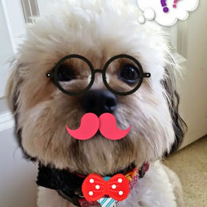 Meet your Posher, Jasmine